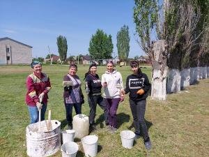 Апрель и май &ndash; традиционное время наведения чистоты и порядка